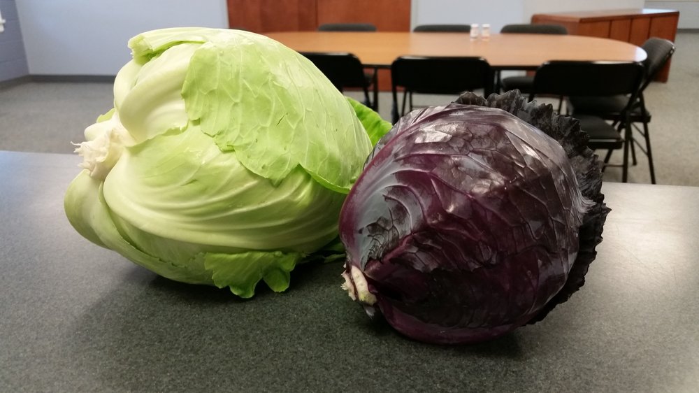 Red and green cabbage.jpg