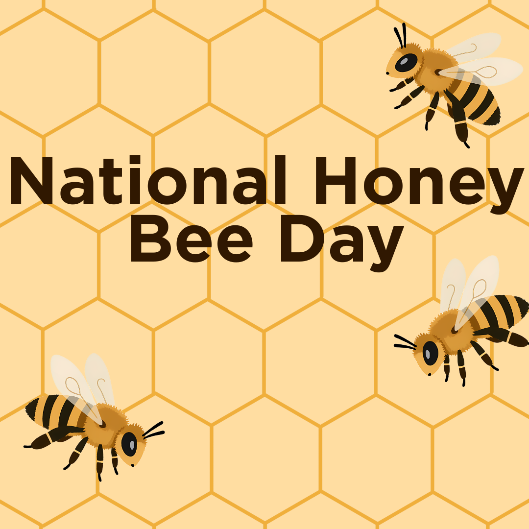 Let’s Celebrate National Honey Bee Day