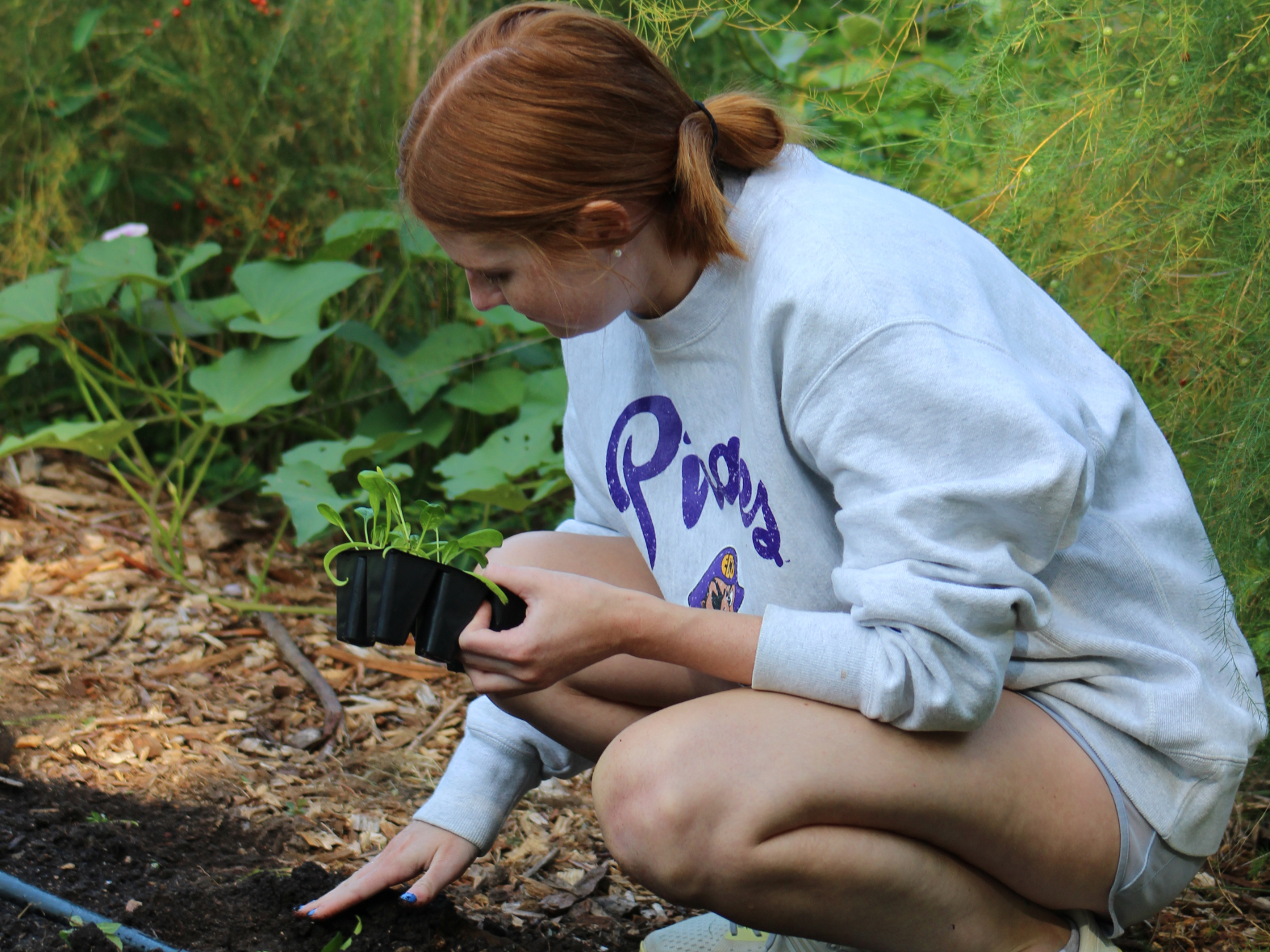 Volunteer in the Garden — Alliance Medical Ministry providing ...