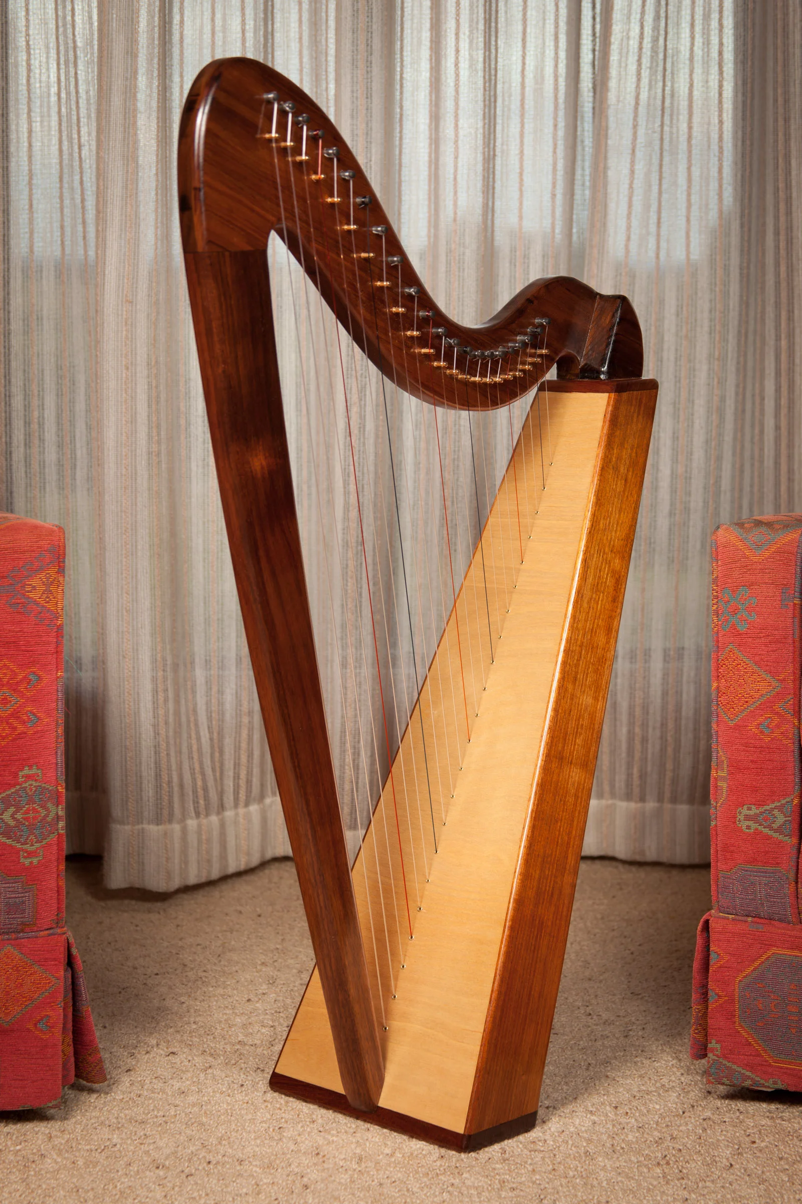 22 string sb front.JPG