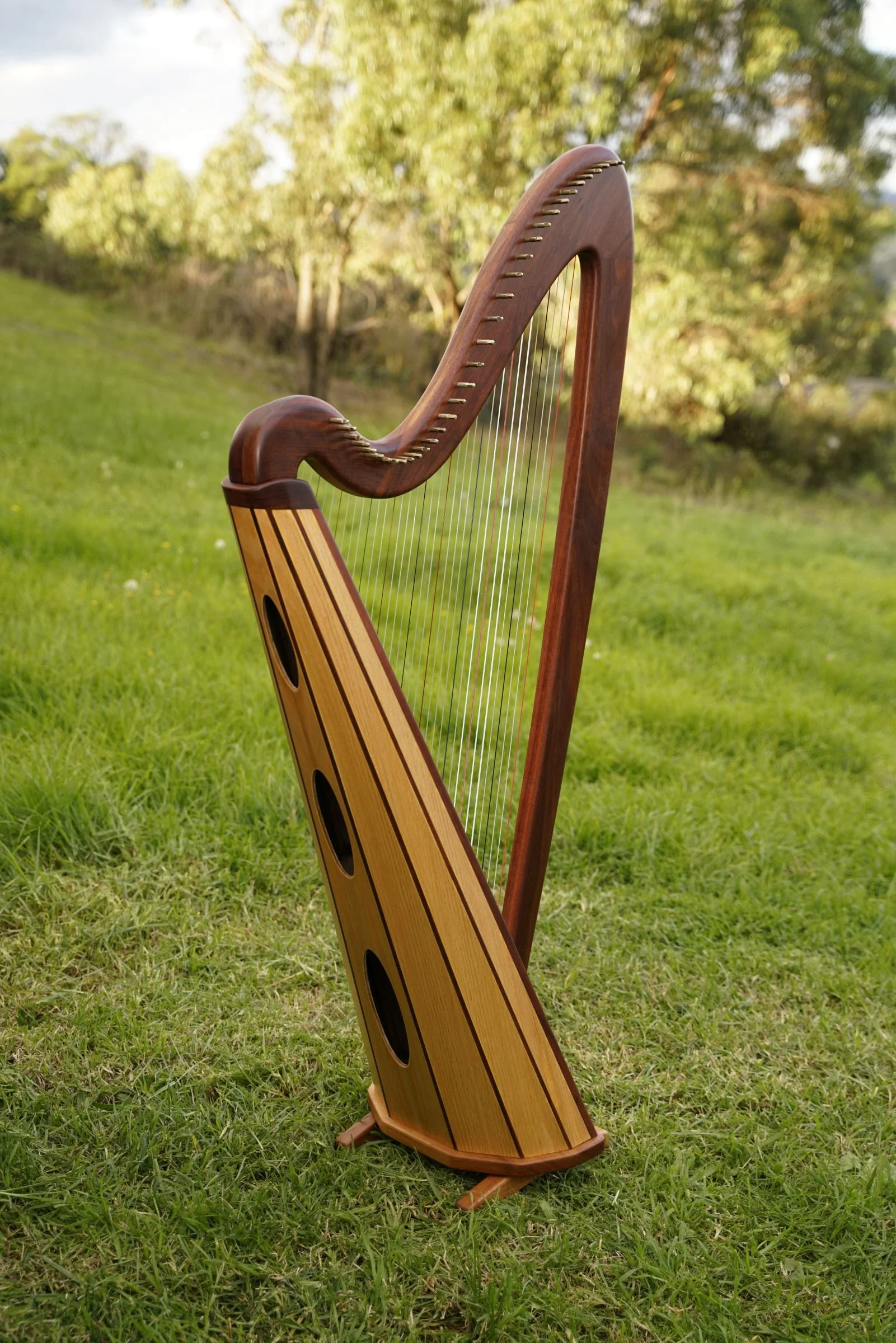 34 harp rear.jpg