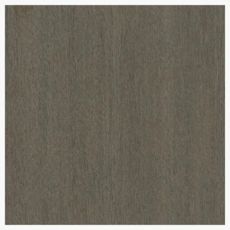 BAILEY - PLUSWOOD TFL