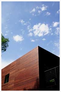 IPE TROPICAL HARDWOOD