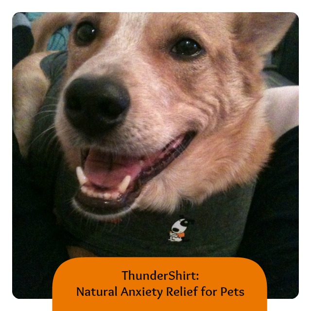 HRMThunderShirt