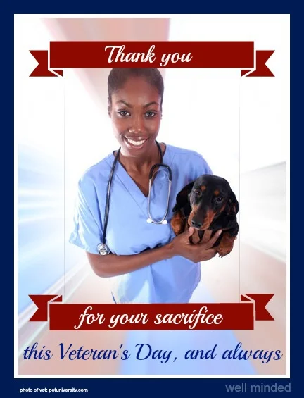 VeteranVeterinarian.jpg