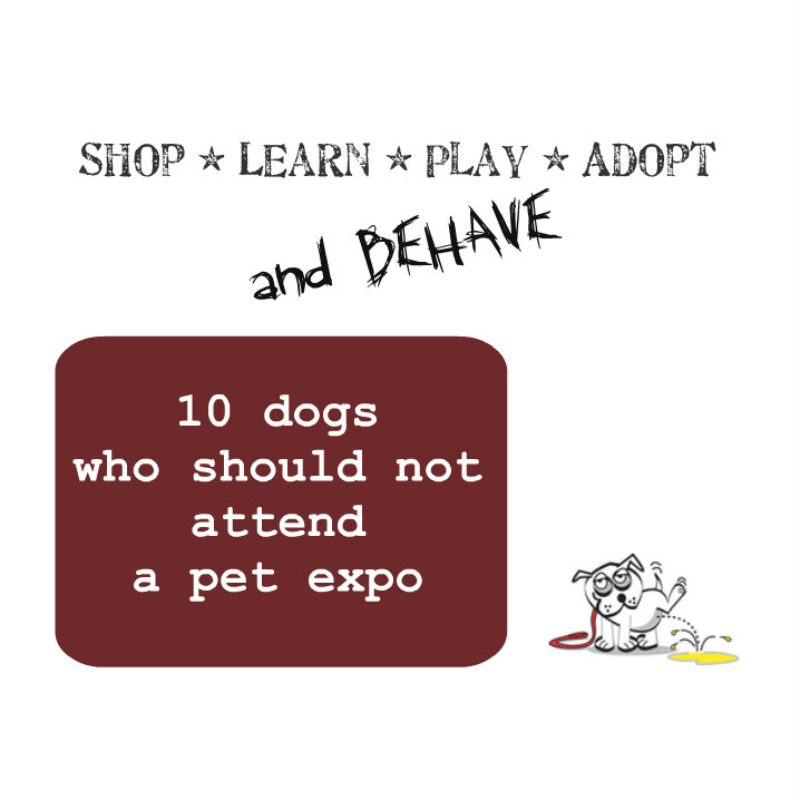 10 dogs who should not attend a pet expo. slogan source: Phoenix Pet Expo