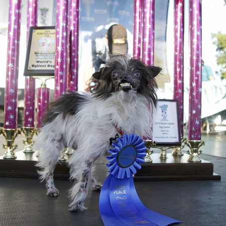 Congratulations, Peanut! Photo source: pennlive.com