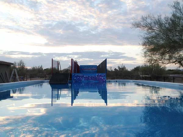 Partners Aquatic Center for Dogs. Photo source: partnersdogtraining.com.