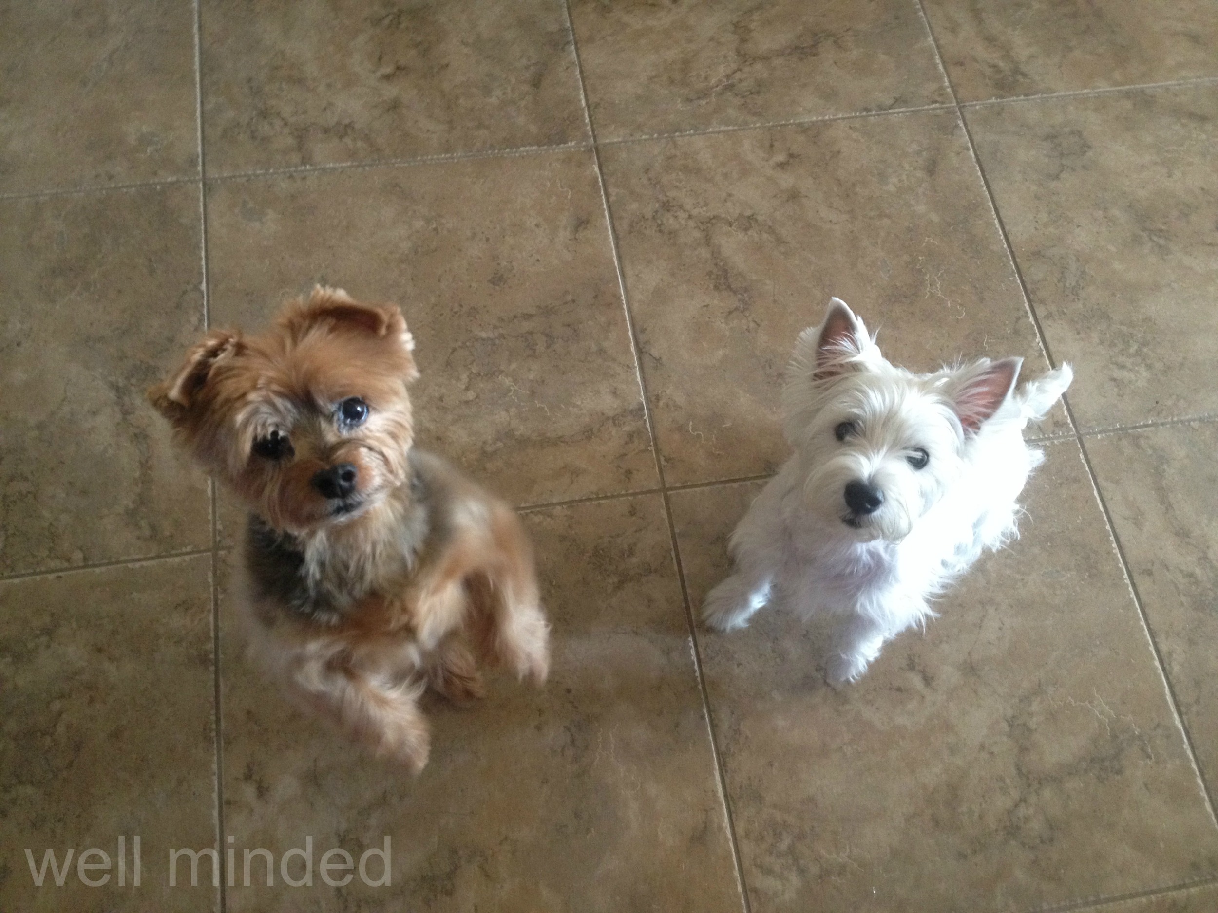 Our friends liked the treats, too.