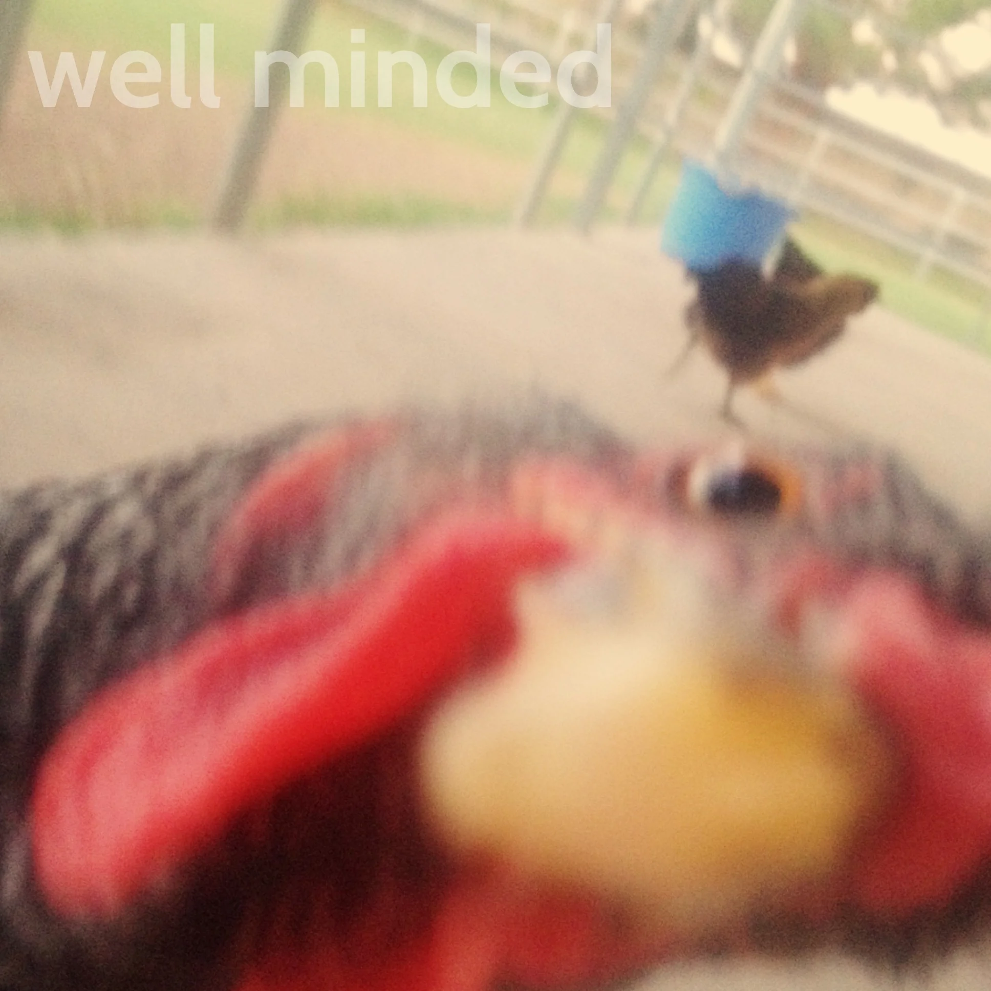 Dusty, one of my clients, is not camera shy. In fact, she was pecking my phone as I attempted to photograph her. Silly!
