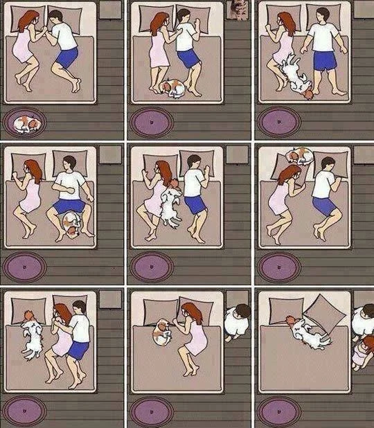 theilovedogssite.com