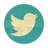 twitter-icon.png