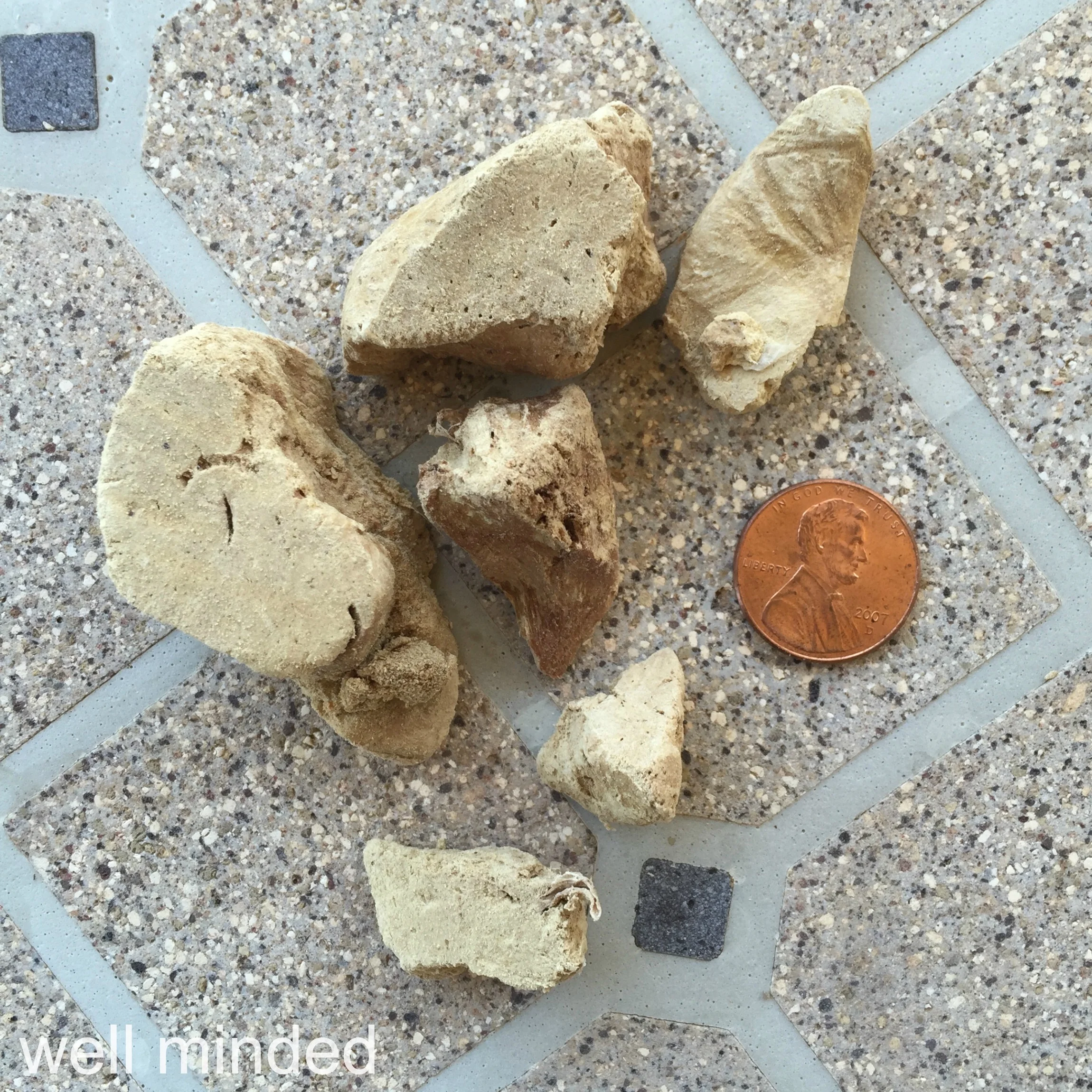 The bag contains treats of varying sizes, so these are great for dogs and cats, large and small. (Penny is pictured for size comparison only and is not a cereal-box prize. Do not feed pennies to your pets.)