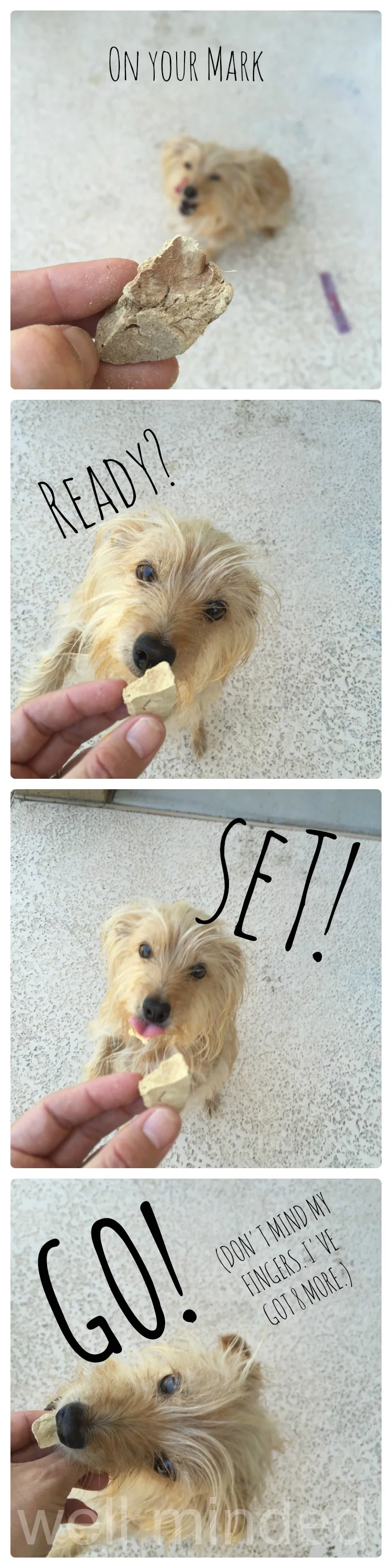 The initial trial.