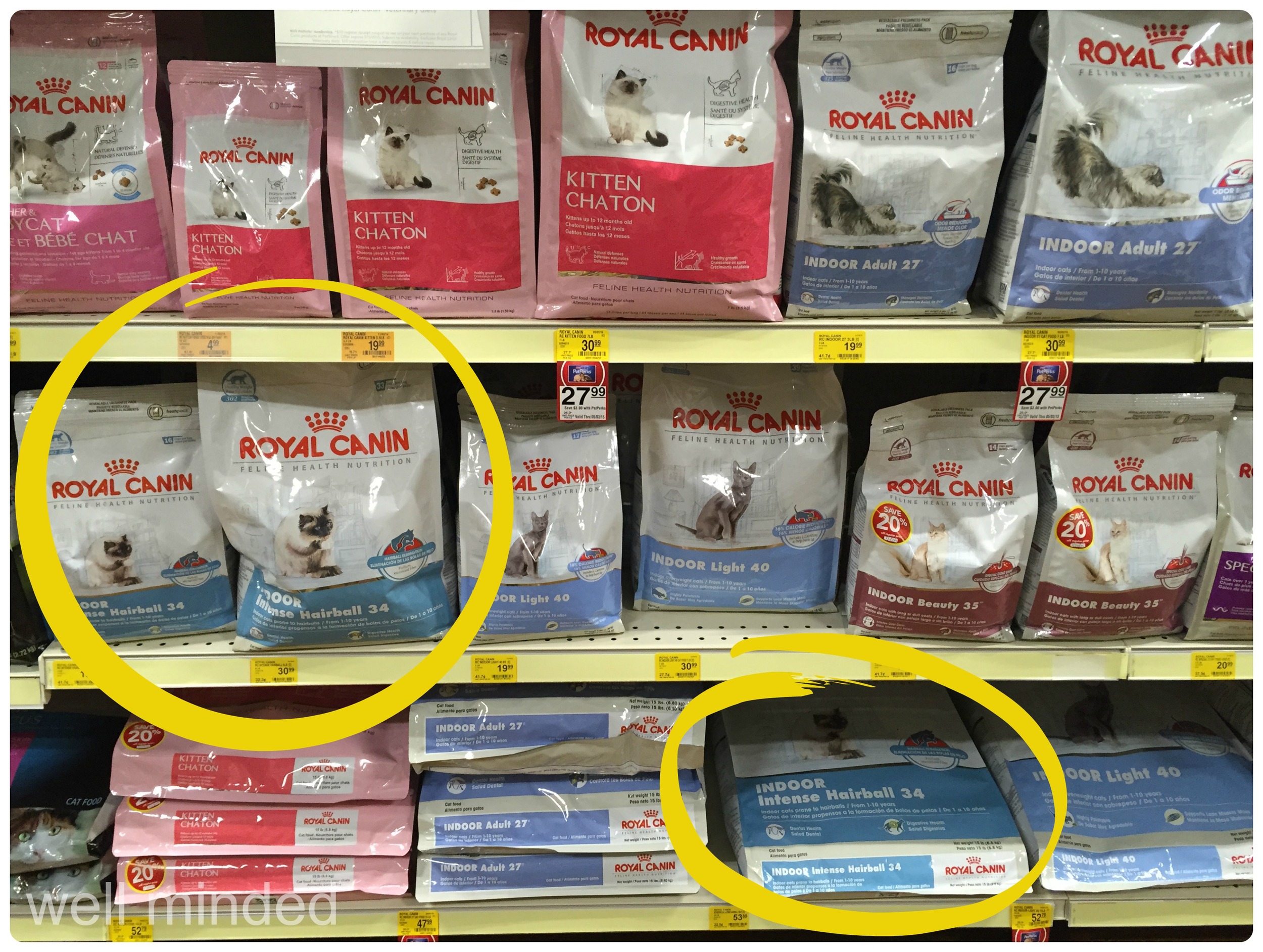 royal canin corgi food