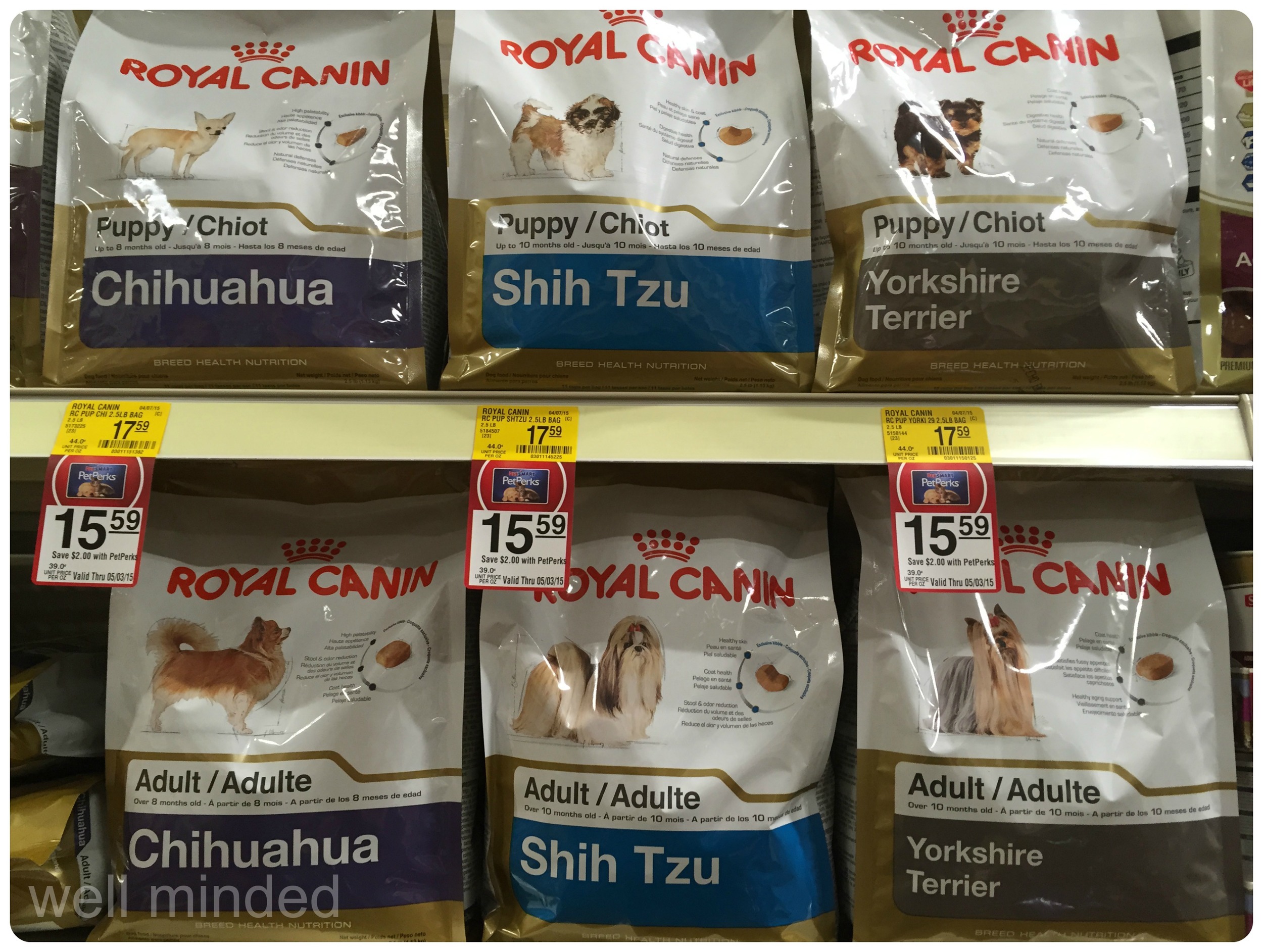 royal canin corgi food