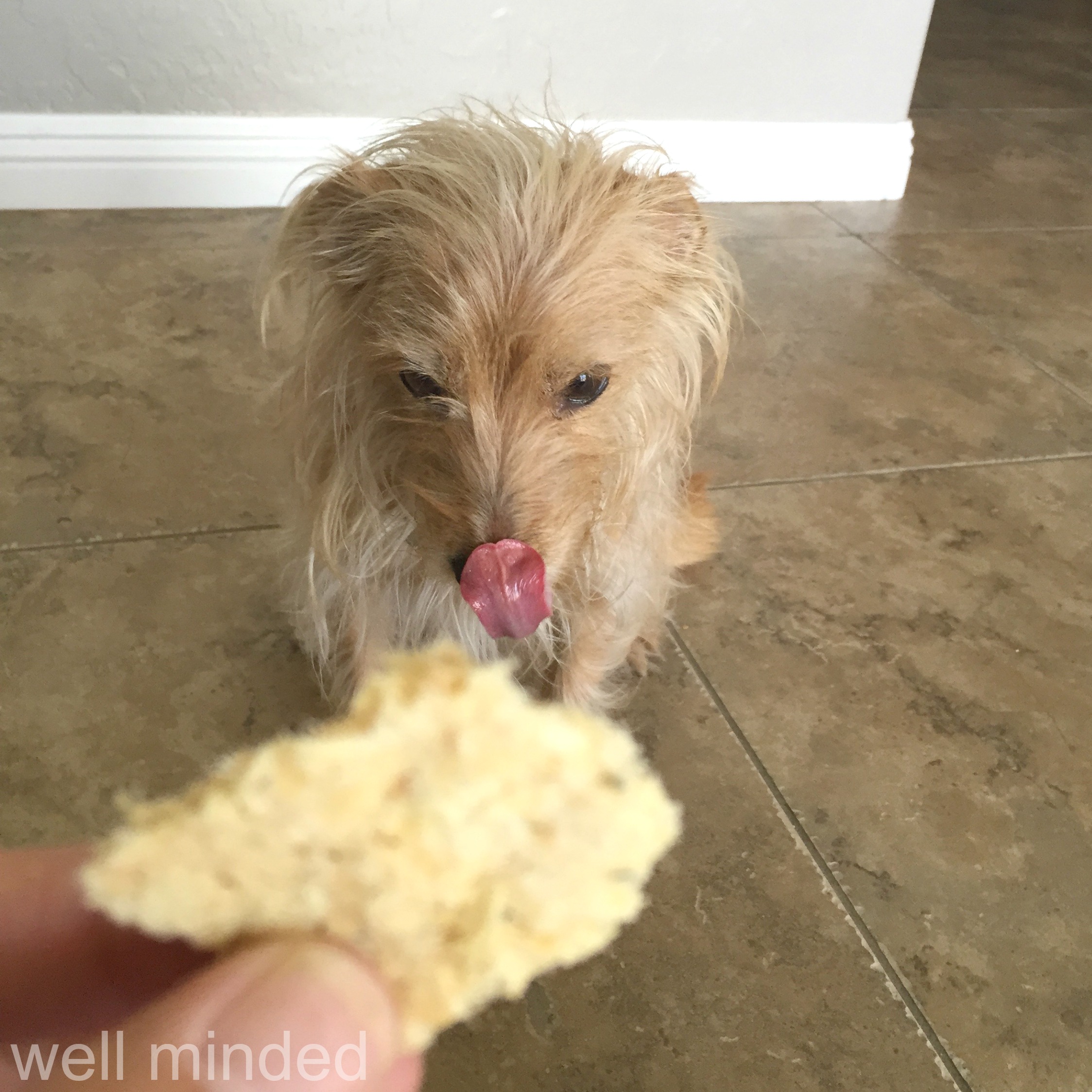 Our first taste-test. I think she's wishing the piece was bigger.