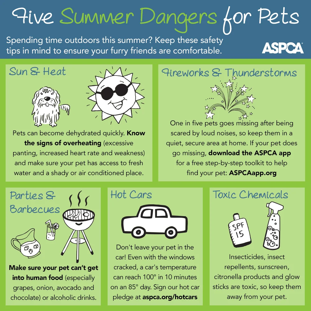 The ASPCA reminds us of the top five summer hazards for pets. Please keep your pets safe this season!