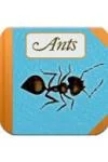 ants-pic.jpg