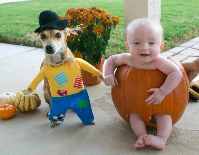 Roldy and Lincoln celebrate fall in style.