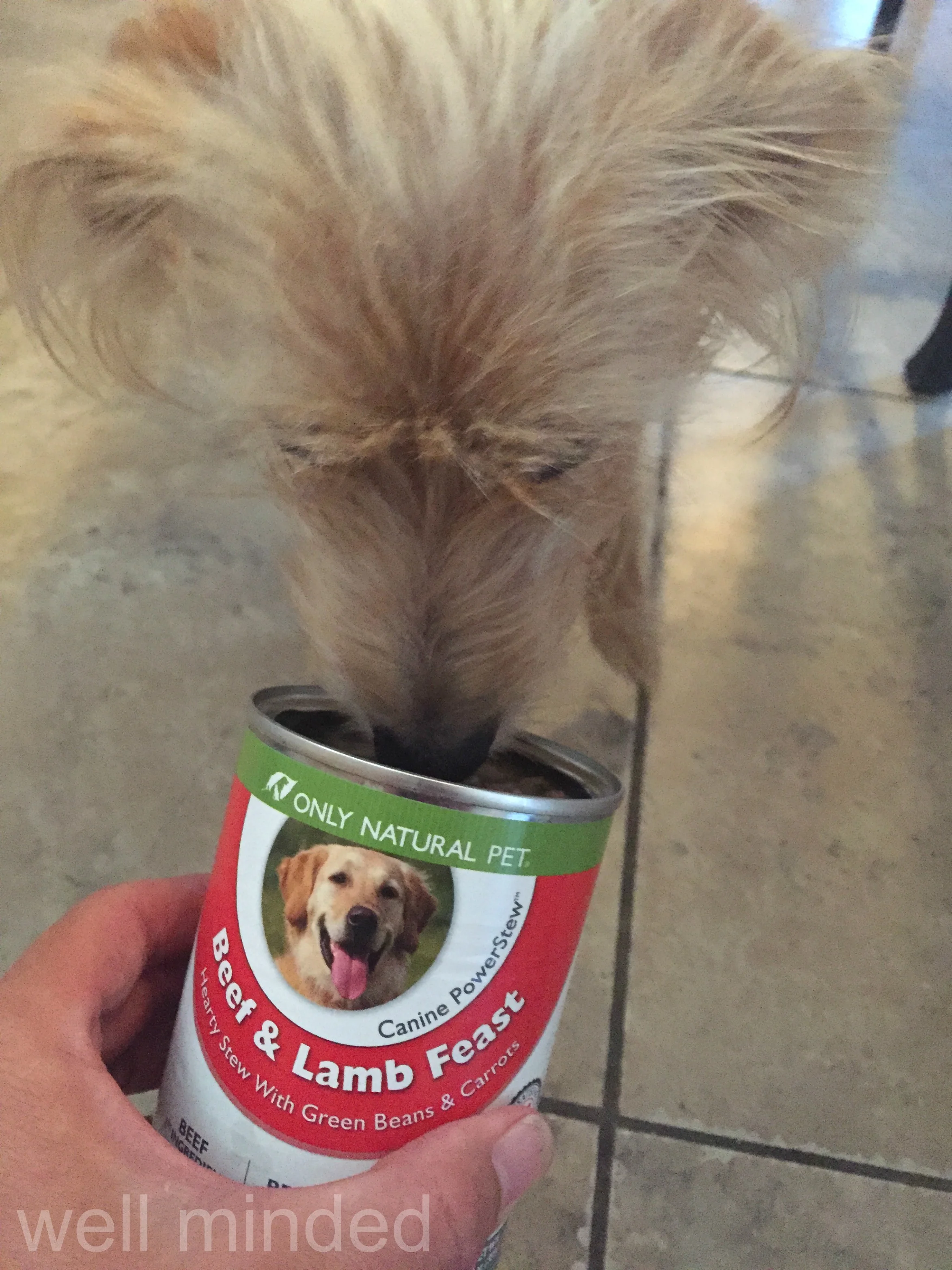 N.A.S.H.A. gives it a sniff, but isn't sure about the can.