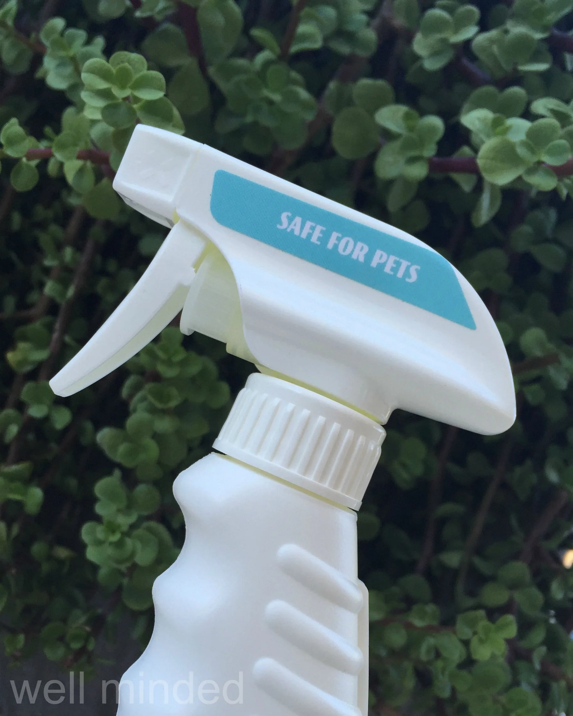 All of PL360's natural products are safe for pets–awesome!