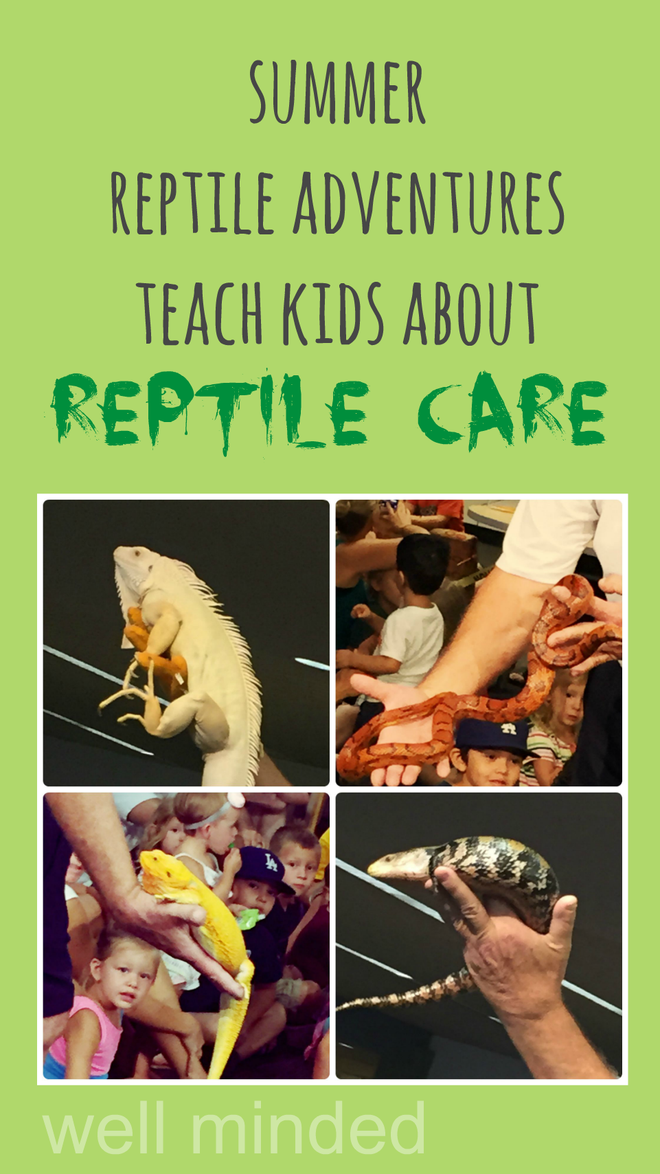 Summer reptile adventures teach kids about #ReptileCare.