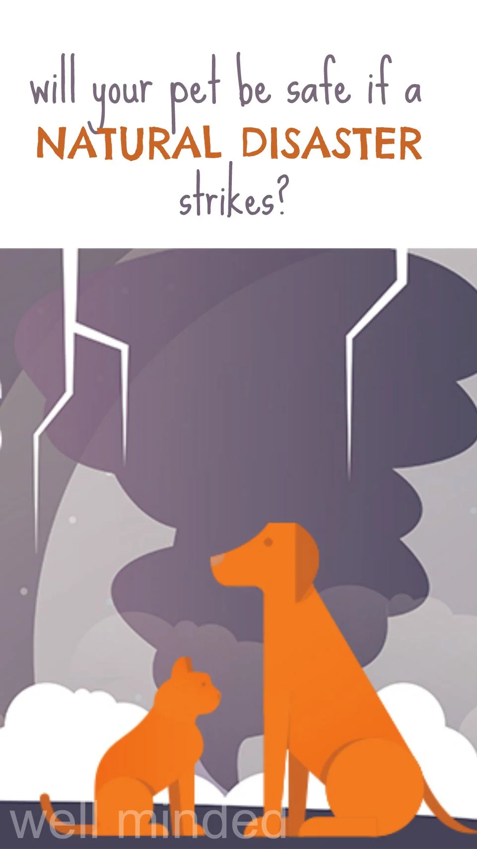 Will your pet be safe if a natural disaster strikes?
