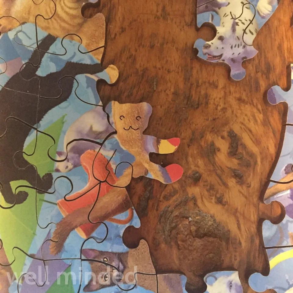 We found where the bear "whimsy" went!