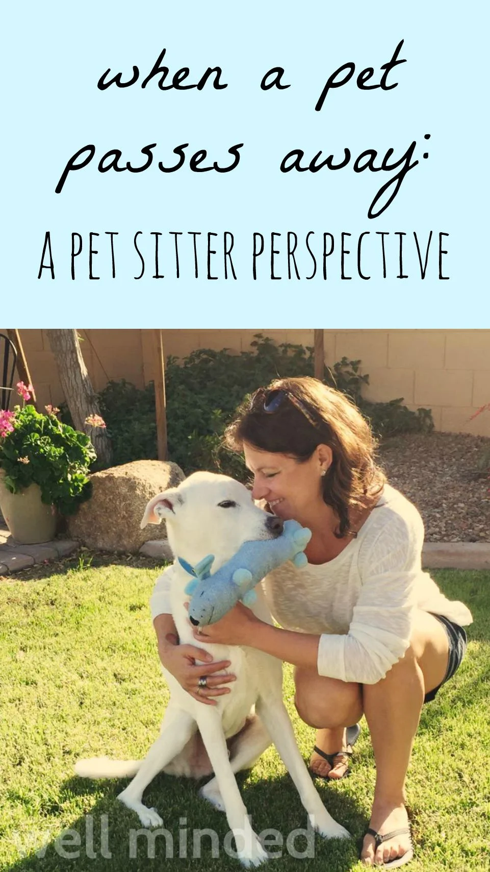 When a Pet Passes Away: A Pet Sitter Perspective