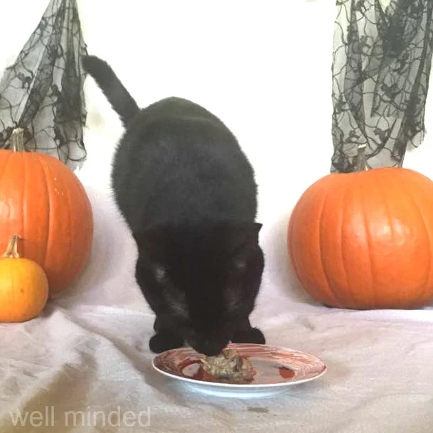 Purina Muse provided Jacopo with great-tasting natural nutrition he couldn't resist even for a second.