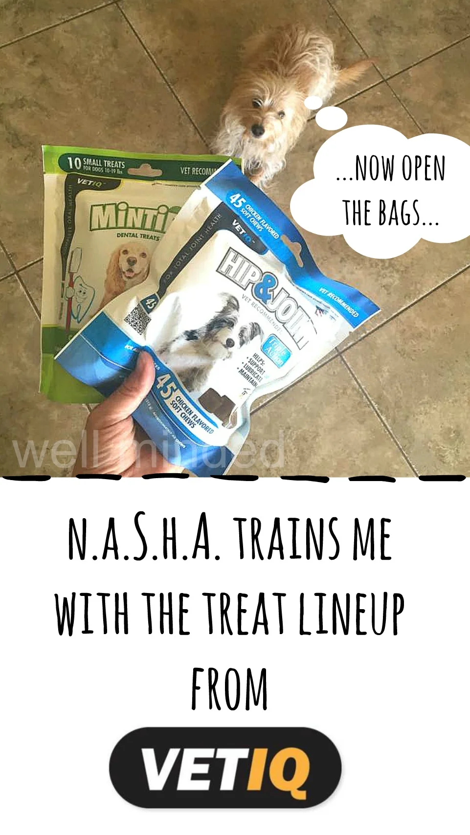N.A.S.H.A. Trains Me with the Treat Lineup from VetIQ. wellmindedpets.com