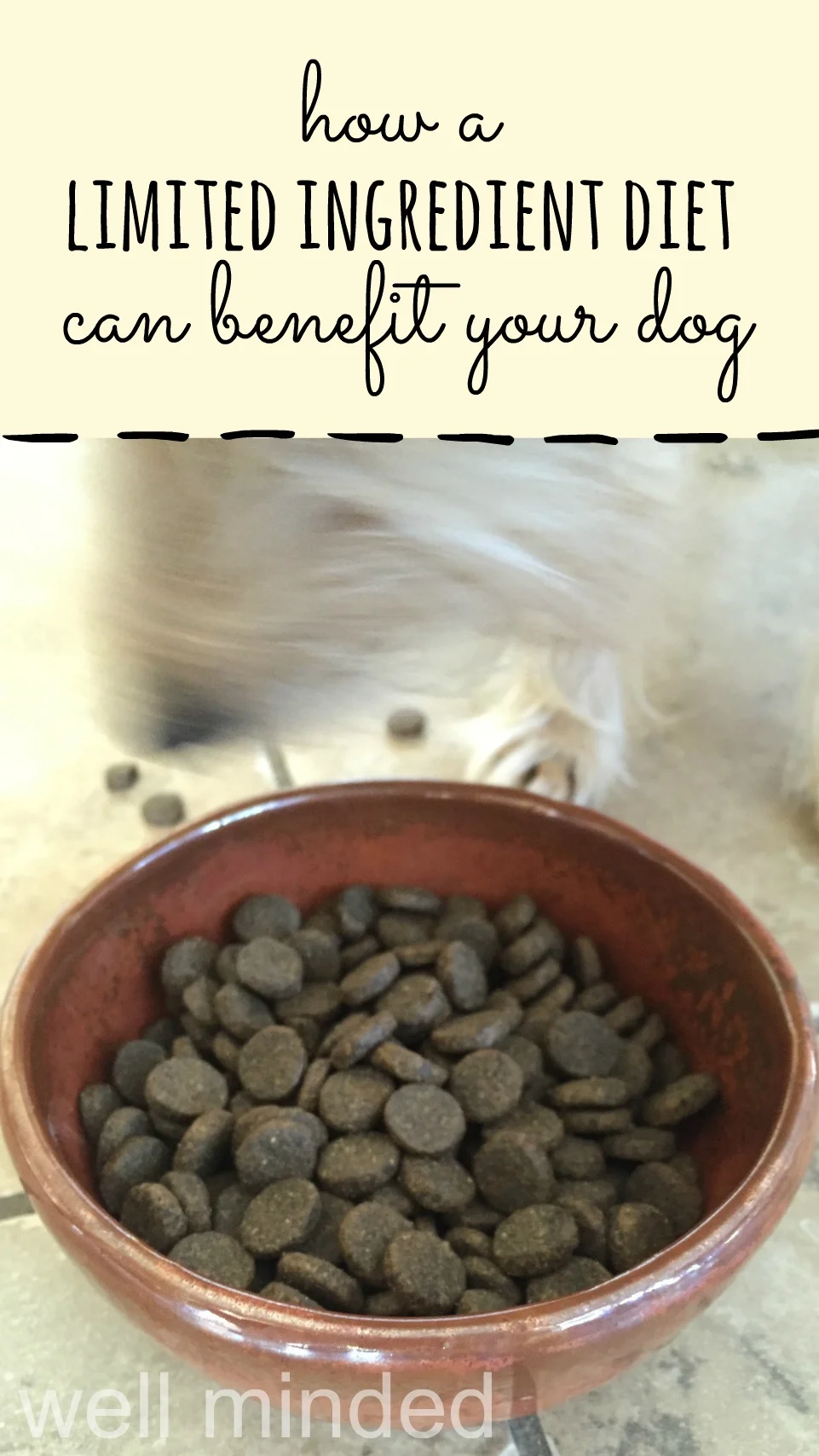 How a Limited Ingredient Diet Can Benefit Your Dog–wellmindedpets.com