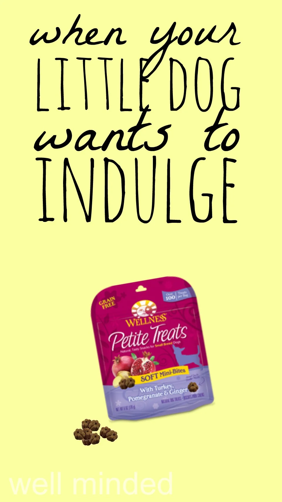 When your little dog wants to indulge–wellmindedpets.com