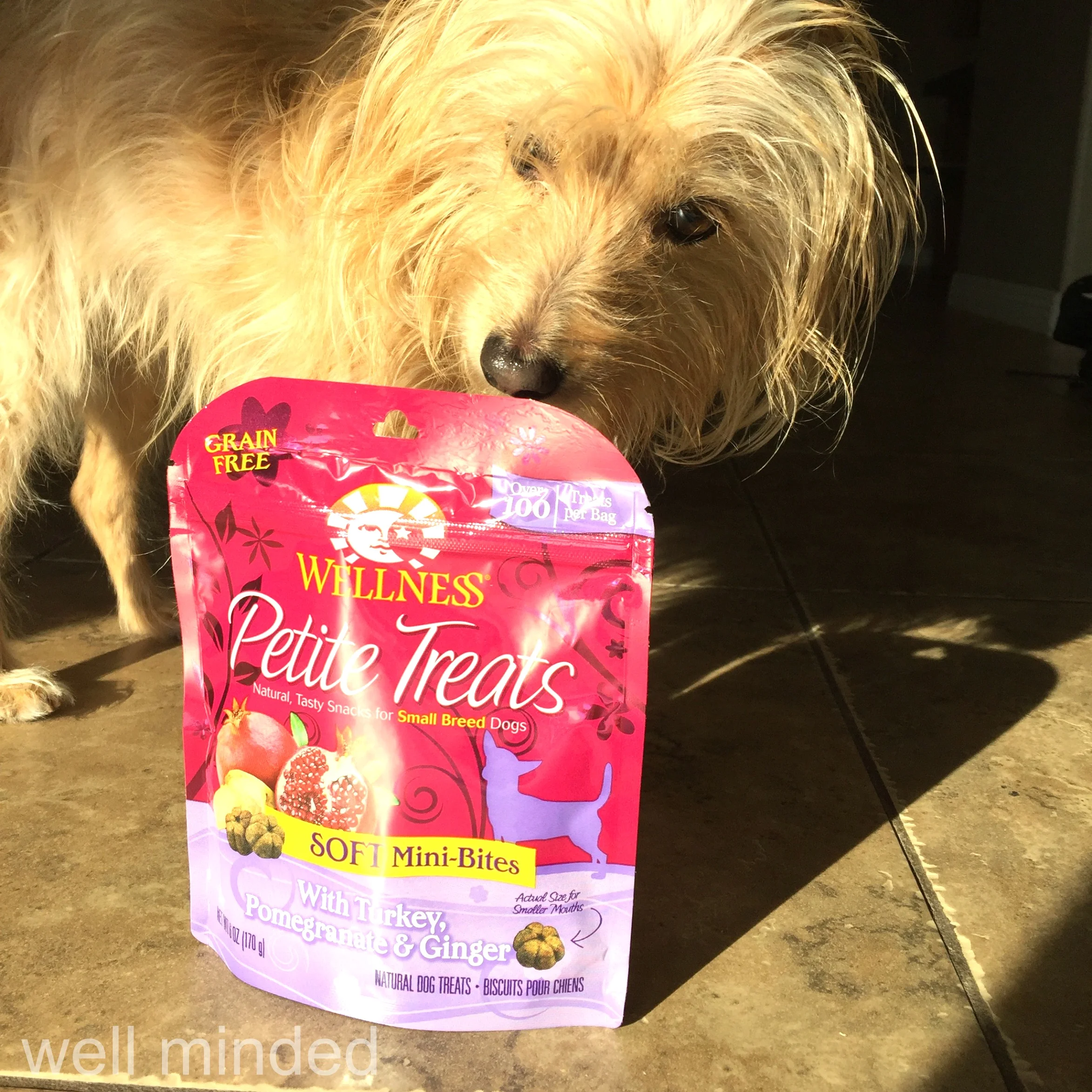 Petite treats! Just what we needed!