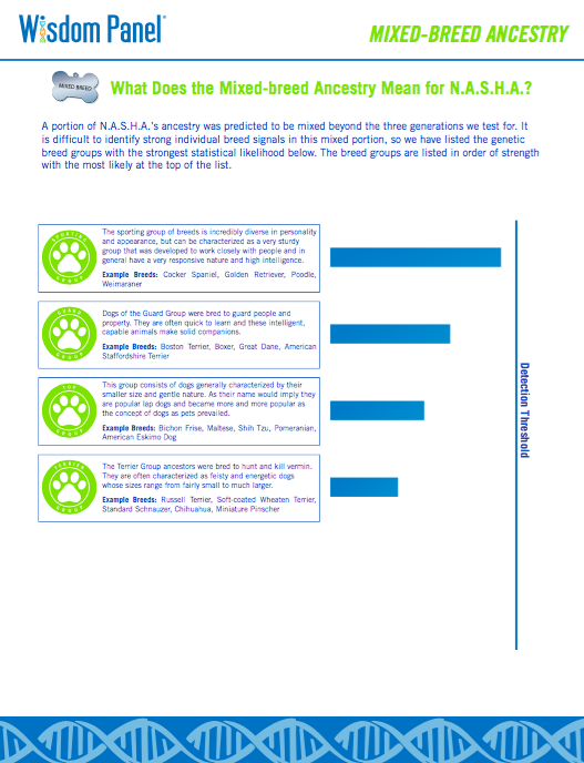 wisdom panel mixed breed quiz