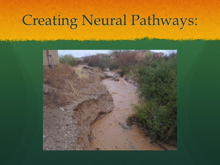 Slide11.jpg