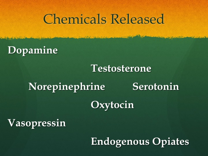Slide12.jpg