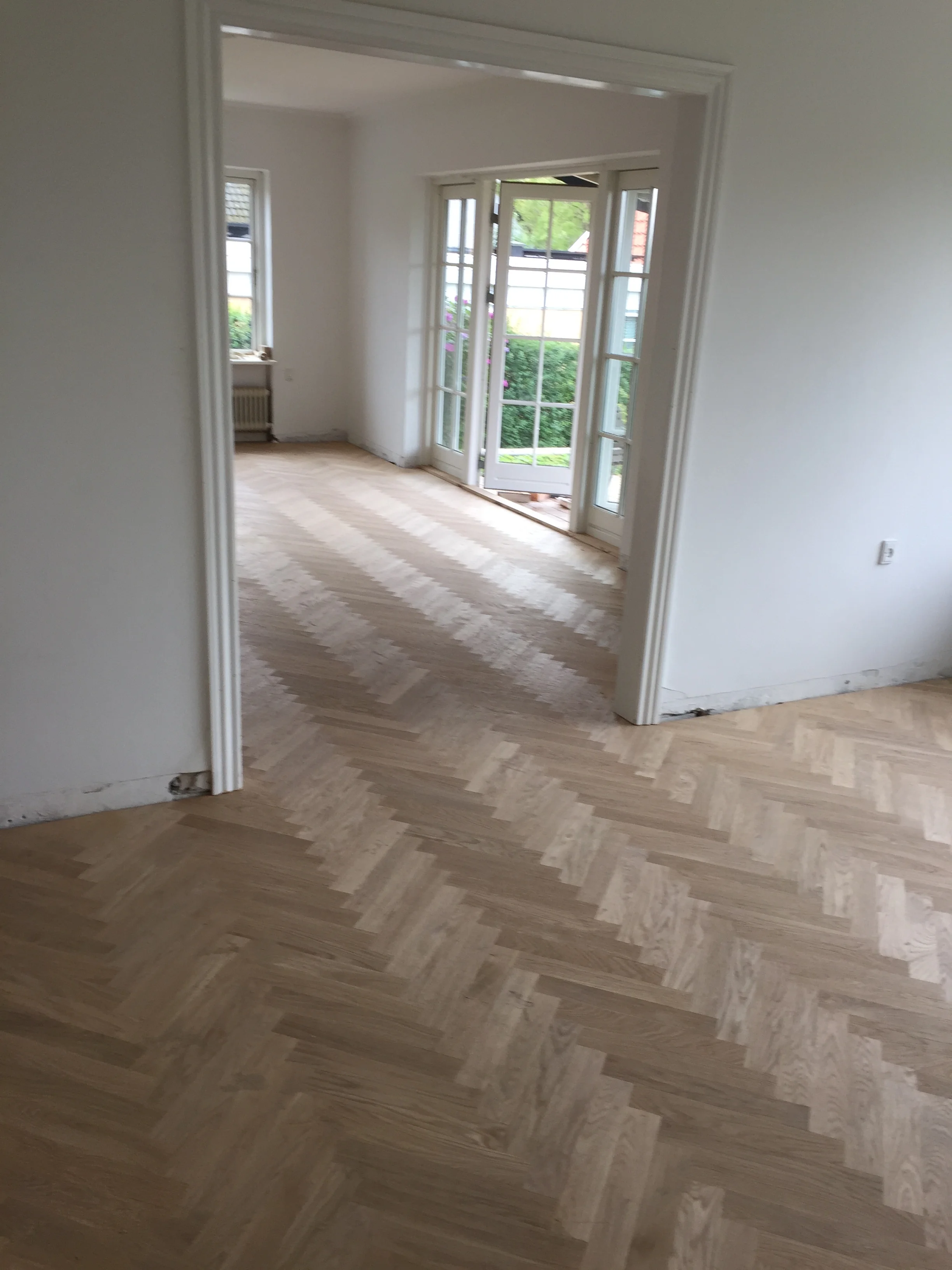 Eg sildeben på oprettet bjælkelag