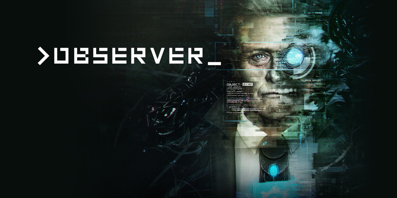 H2x1_NSwitchDS_Observer_image1600w.jpg