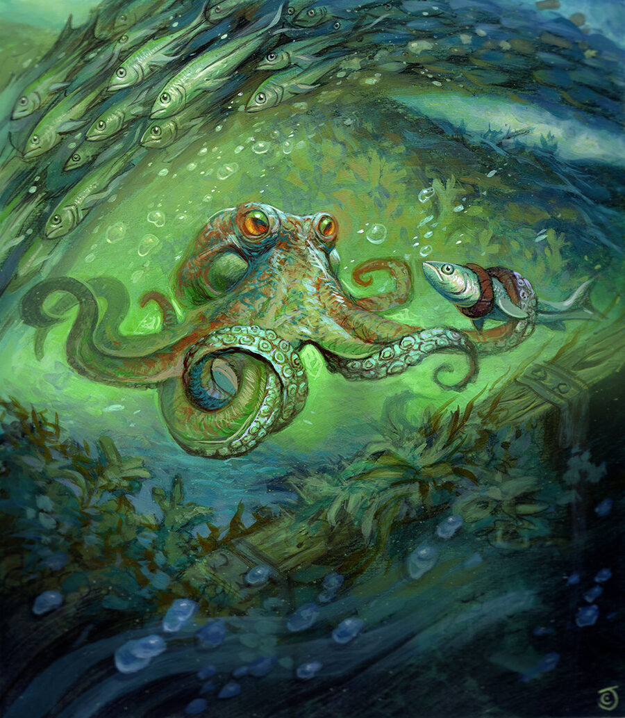 Sea-Dasher Octopus