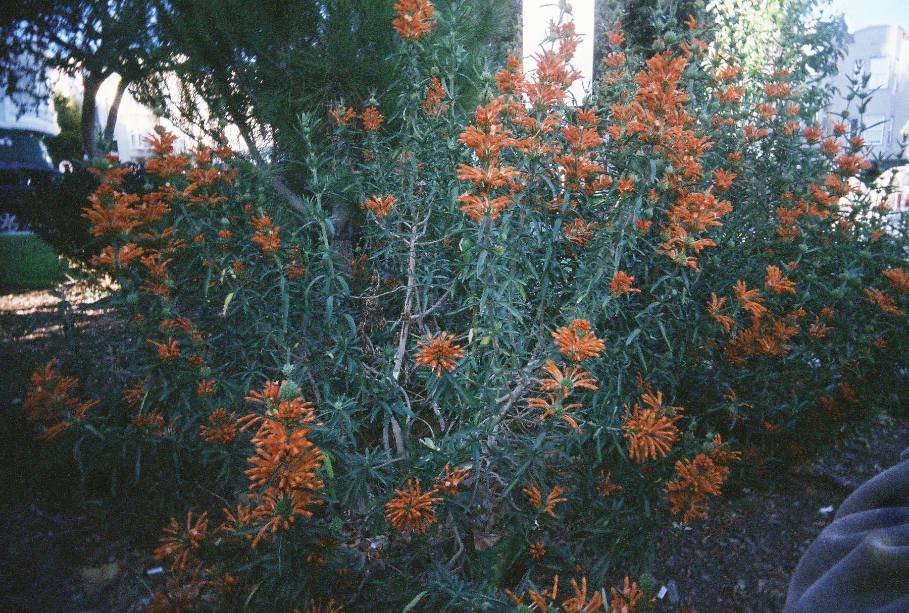 R1-07181-007A.jpg