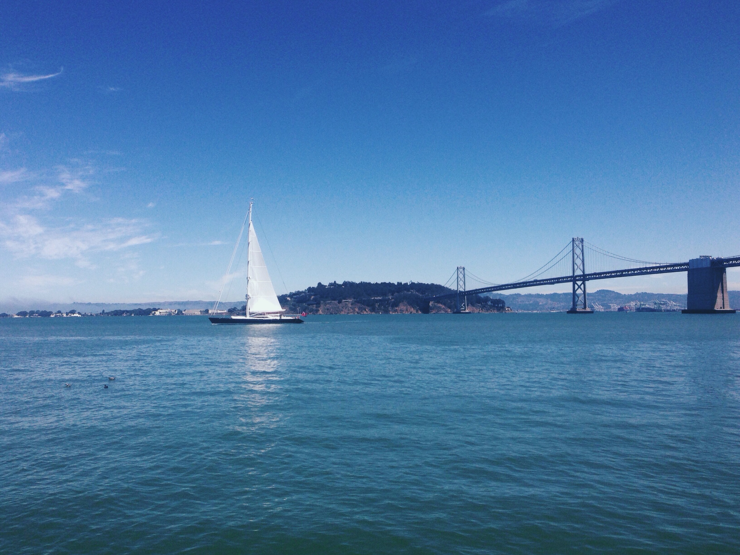 sail6.jpg