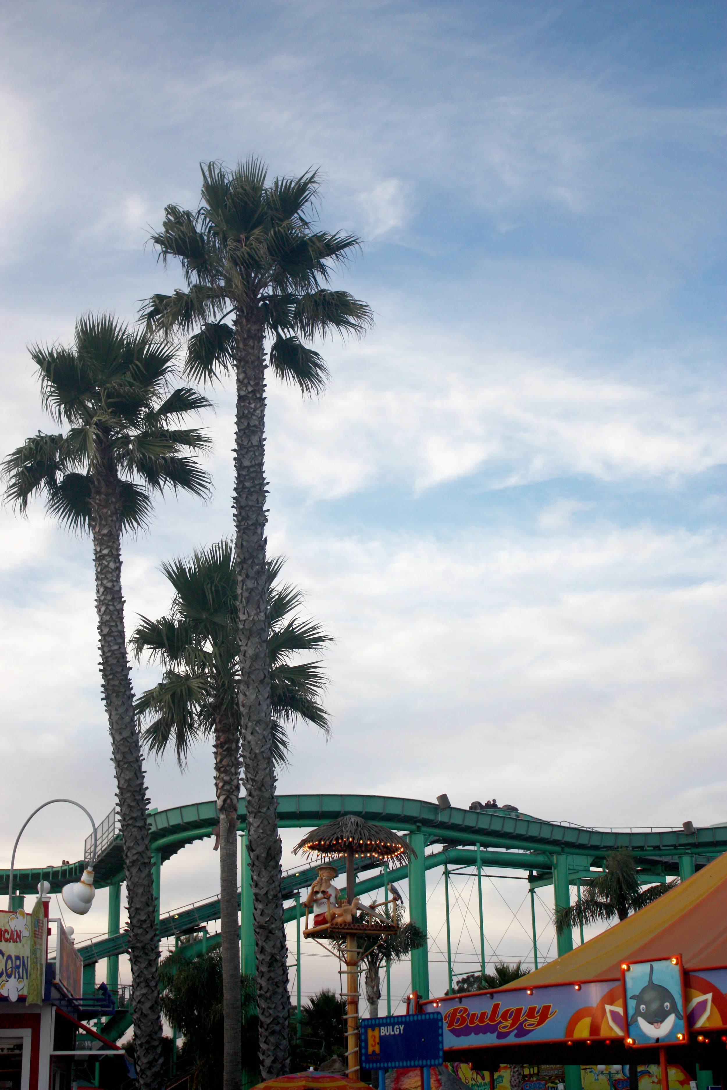 santacruz30.jpg