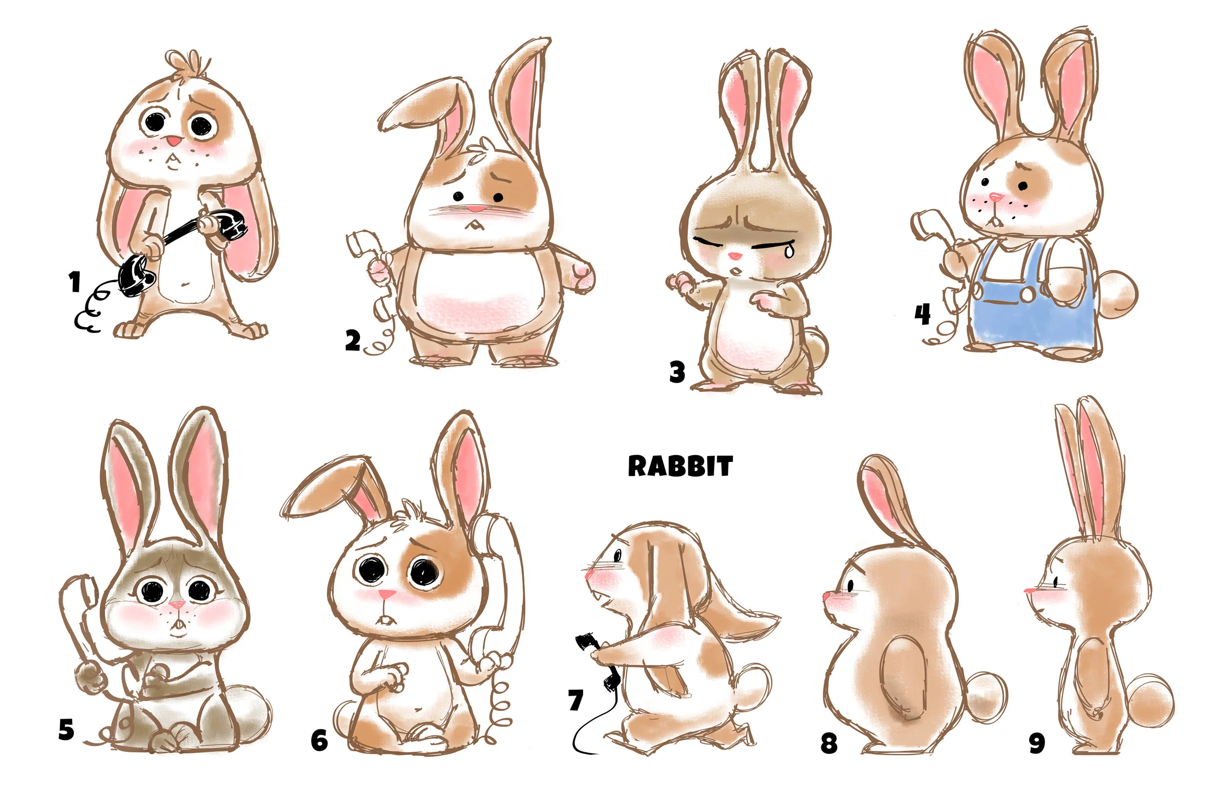 rabbit.jpg