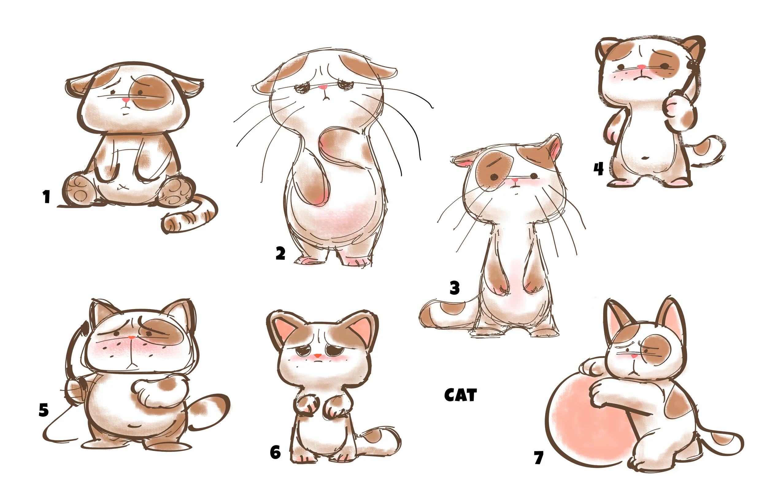 cat.jpg