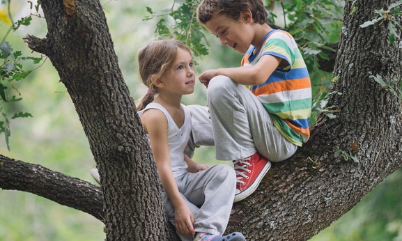 kids in a tree.jpg