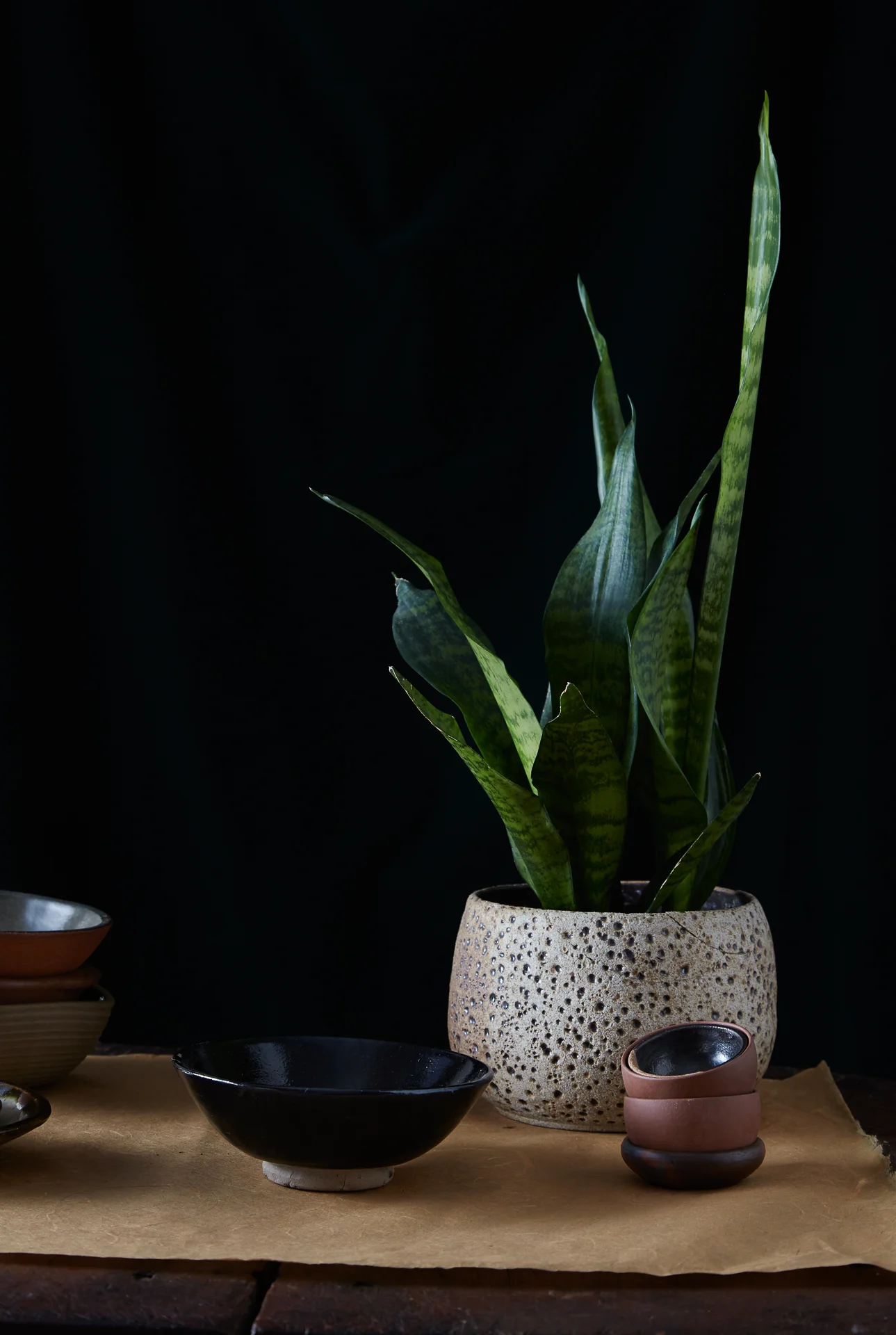 ManuelaInsixiengmay_StillLife_-9.jpg