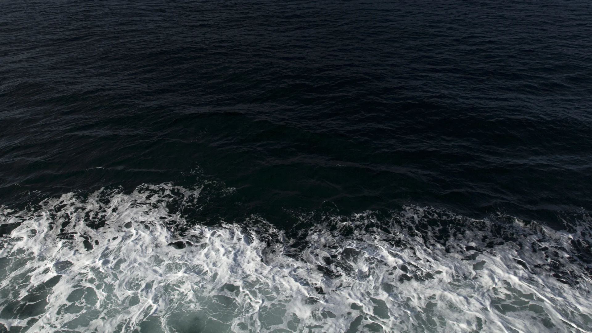 theblackwater-3179.jpg
