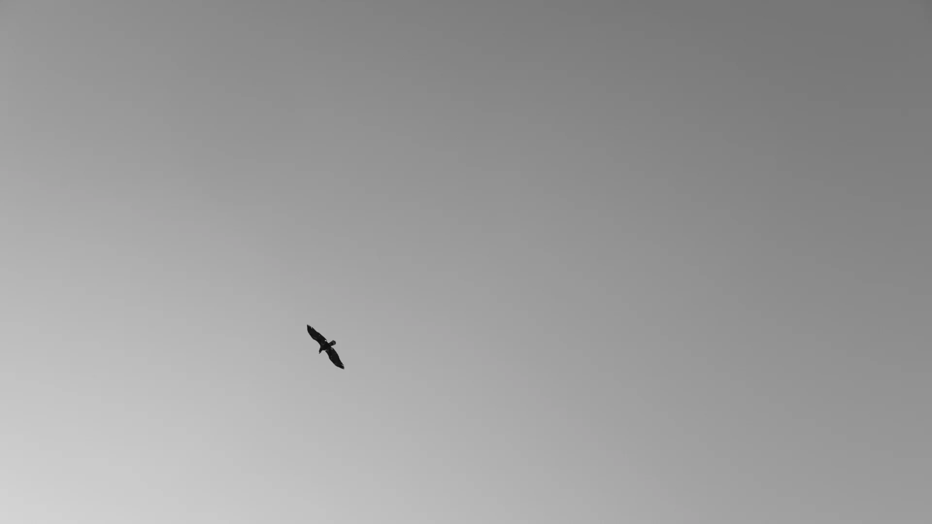 DSCF2626.jpg